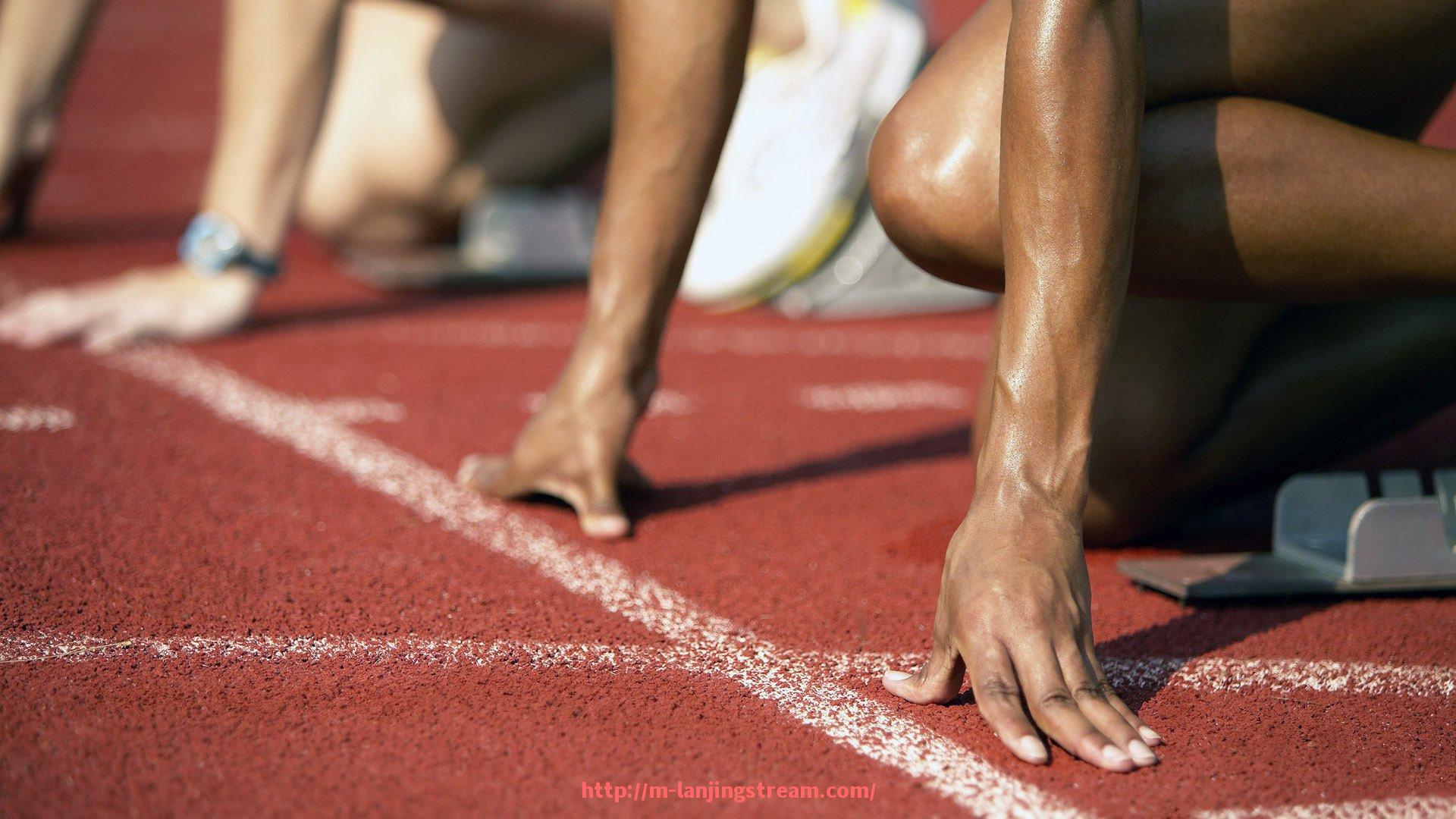 蓝鲸体育直播-法甲战术体系的历史演进及现代应用案例