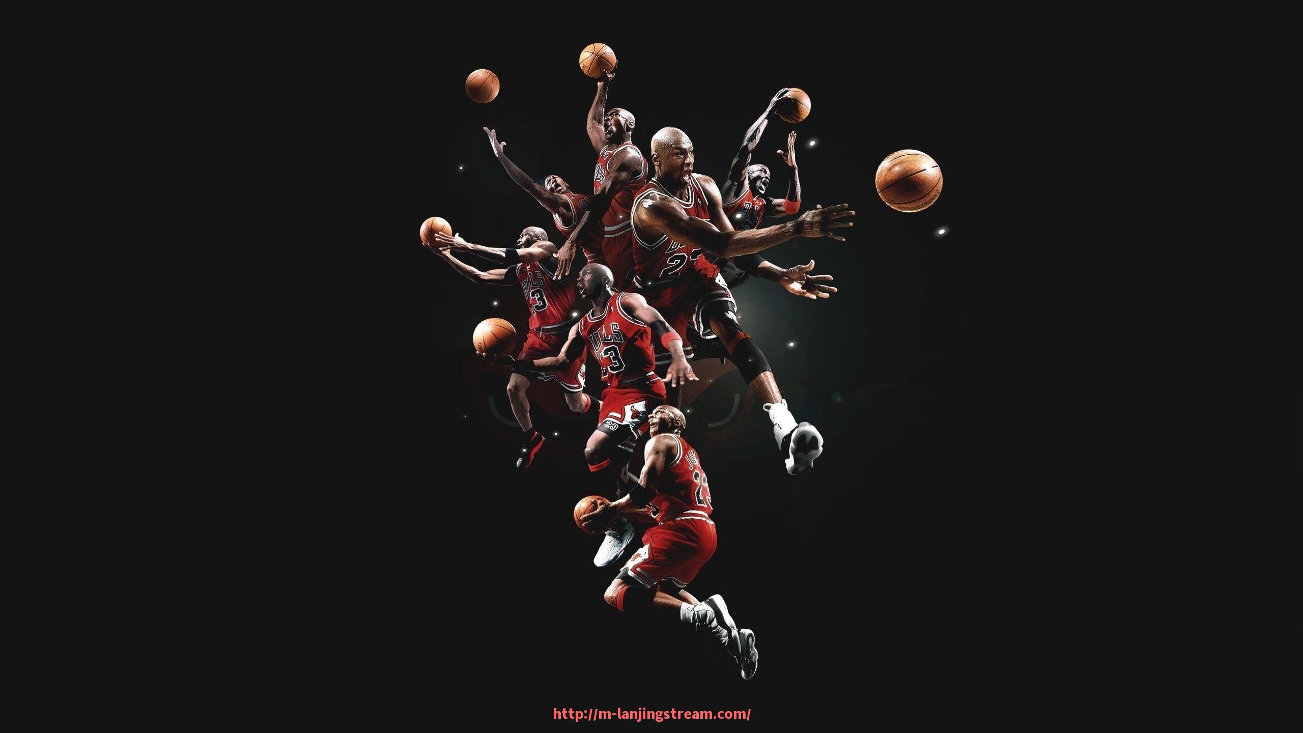 蓝鲸体育直播-健身器材上重量显示的科学性与误区